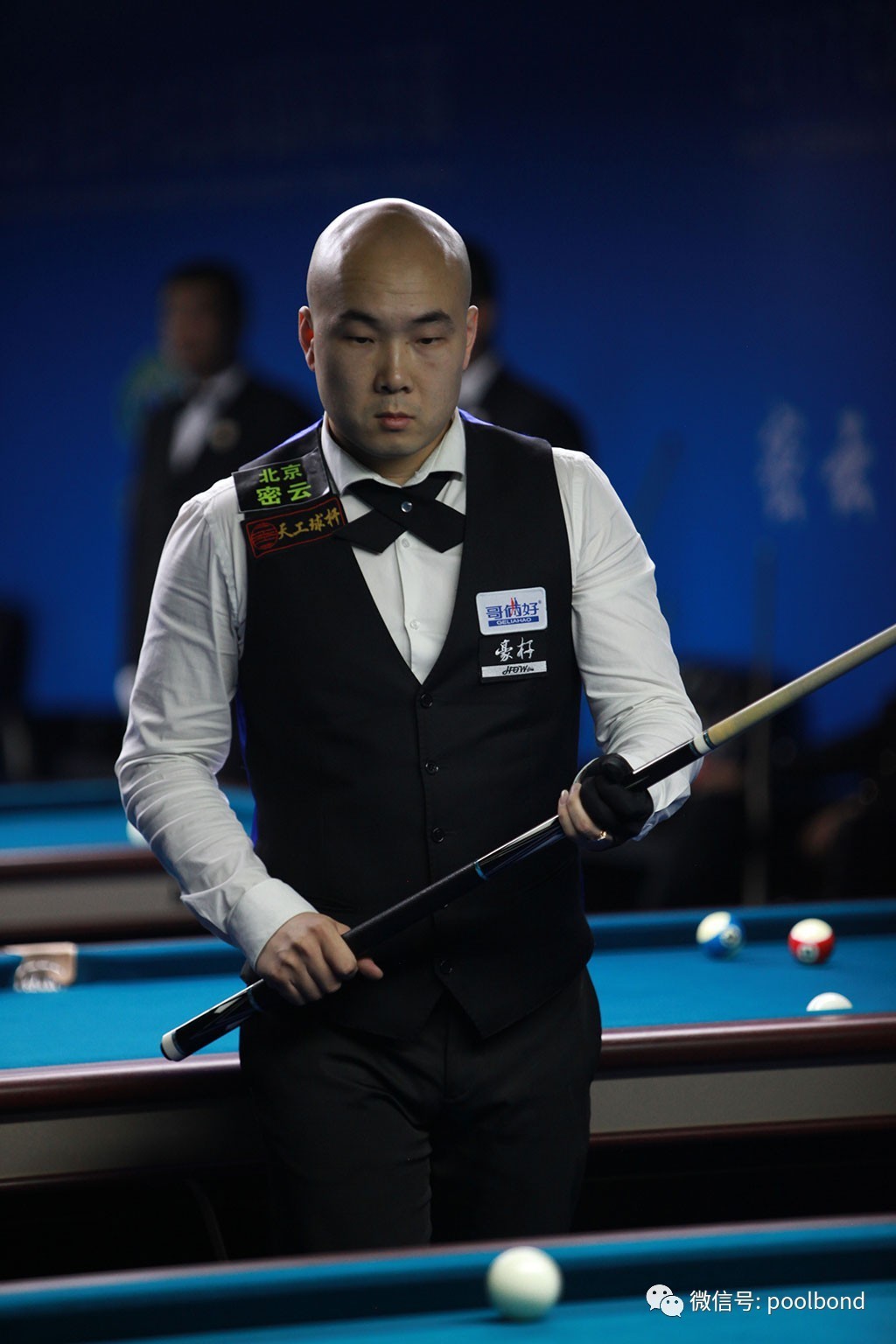 他们的胜率 他们的胜率