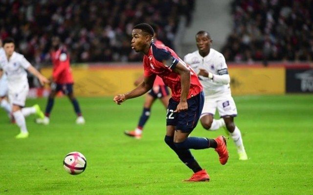 以速度滑冰 以速度滑冰